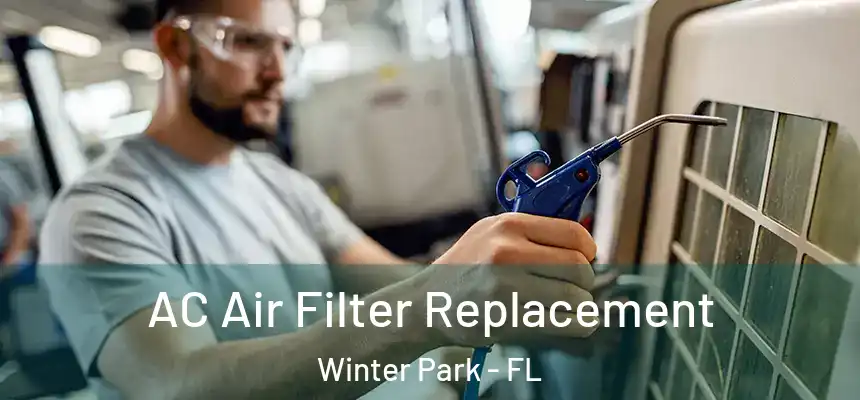AC Air Filter Replacement Winter Park - FL
