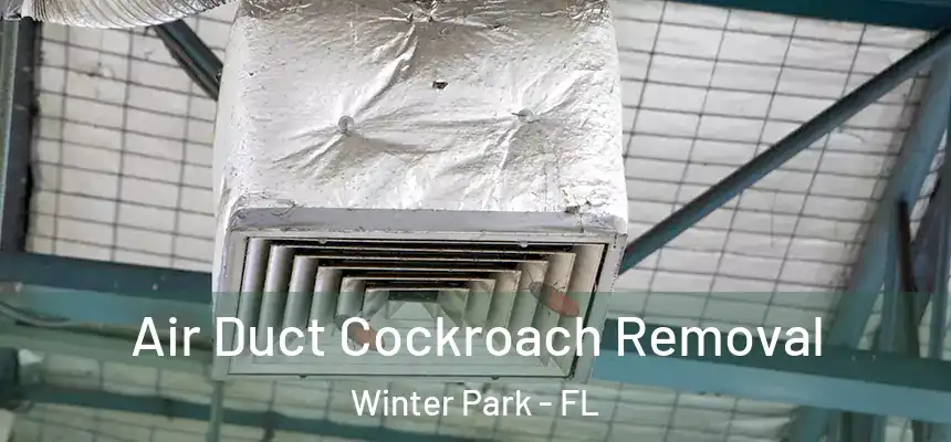 Air Duct Cockroach Removal Winter Park - FL