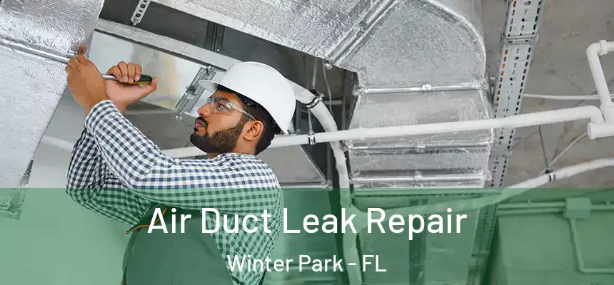  Air Duct Leak Repair Winter Park - FL