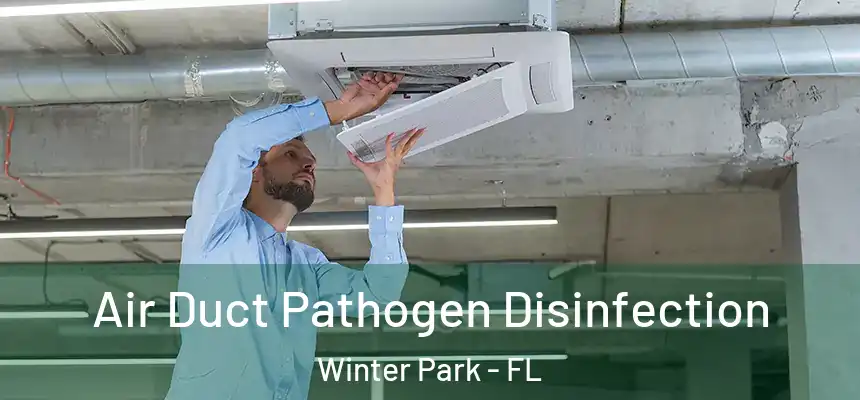 Air Duct Pathogen Disinfection Winter Park - FL