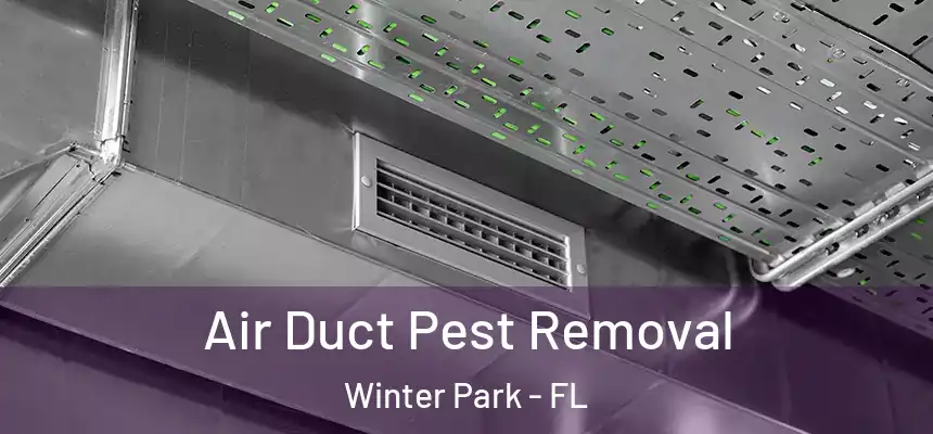 Air Duct Pest Removal Winter Park - FL