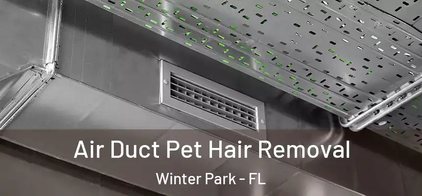  Air Duct Pet Hair Removal Winter Park - FL