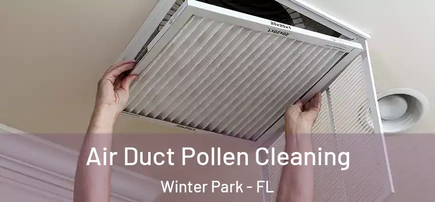 Air Duct Pollen Cleaning Winter Park - FL