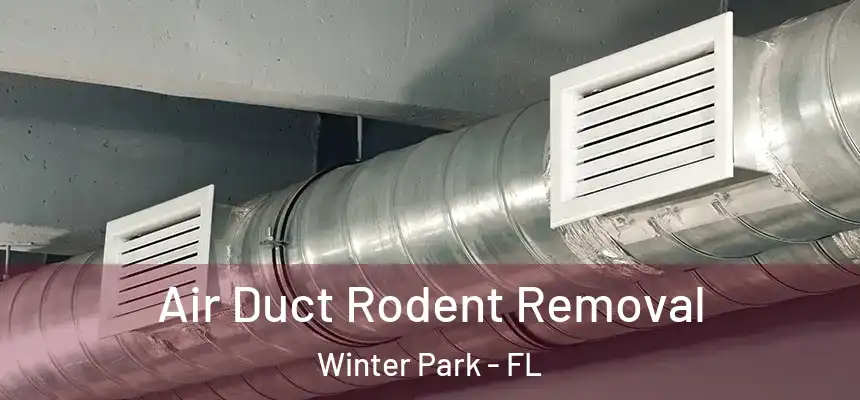 Air Duct Rodent Removal Winter Park - FL