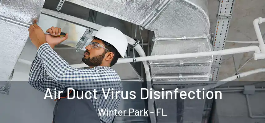 Air Duct Virus Disinfection Winter Park - FL
