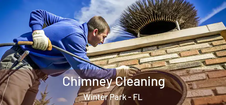 Chimney Cleaning Winter Park - FL