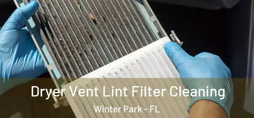 Dryer Vent Lint Filter Cleaning Winter Park - FL