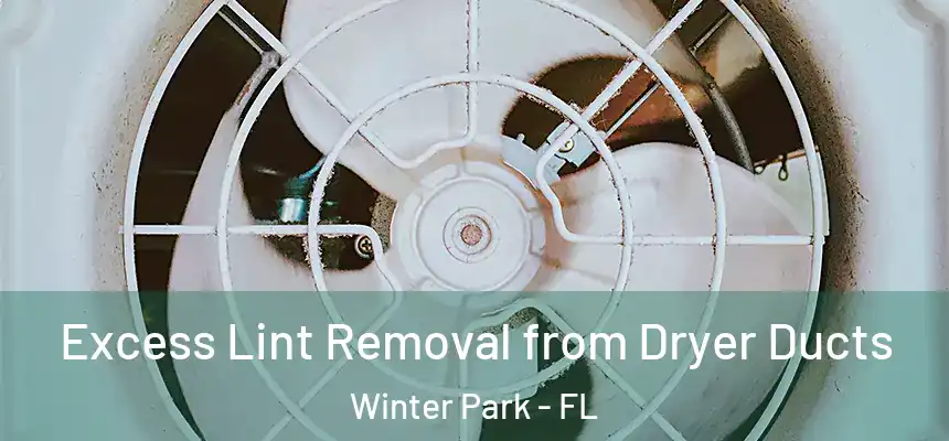 Excess Lint Removal from Dryer Ducts Winter Park - FL
