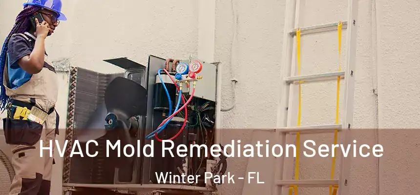 HVAC Mold Remediation Service Winter Park - FL