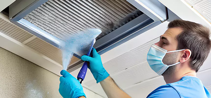 Proactive Dryer Vent & Auxiliary Duct Pollen Cleanup in Winter Park, FL