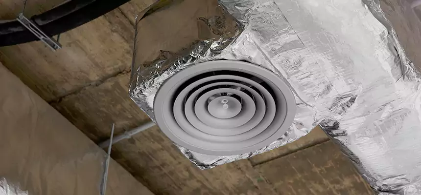 Our Excess Lint Removal from Dryer Ducts Services in Winter Park, FL