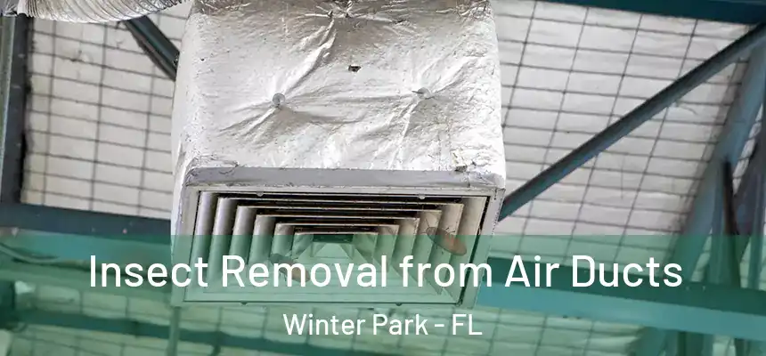 Insect Removal from Air Ducts Winter Park - FL
