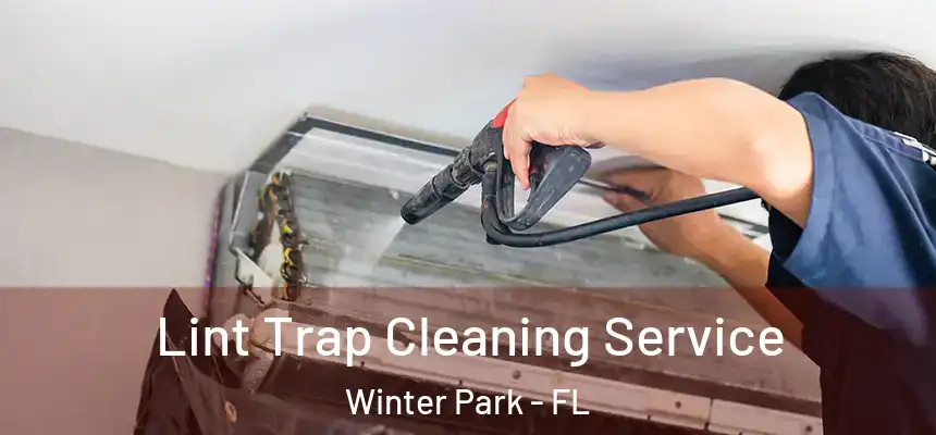Lint Trap Cleaning Service Winter Park - FL
