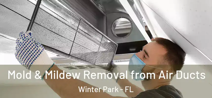Mold & Mildew Removal from Air Ducts Winter Park - FL