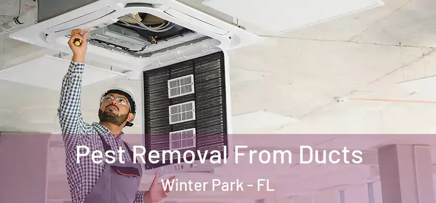 Pest Removal From Ducts Winter Park - FL