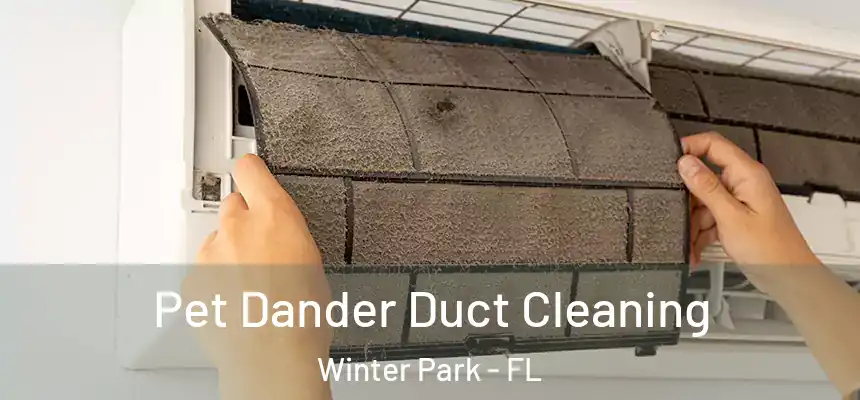 Pet Dander Duct Cleaning Winter Park - FL