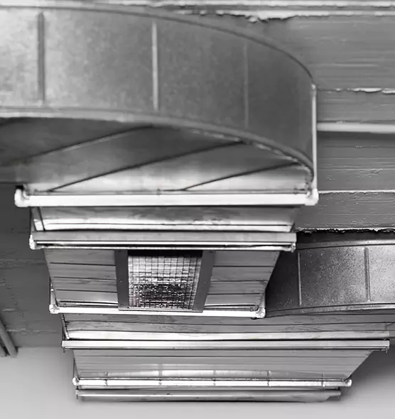 Professional Air Duct Pet Hair Removal in Winter Park, FL