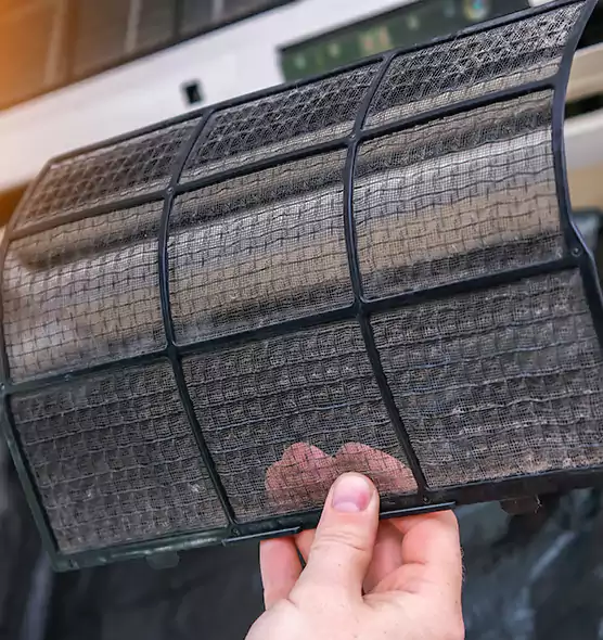 About Pet Dander Duct Cleaning in Winter Park, FL