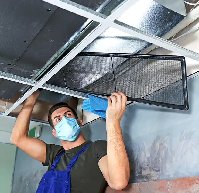 Why Homeowners Businesses Trust Us  in Winter Park, FL?